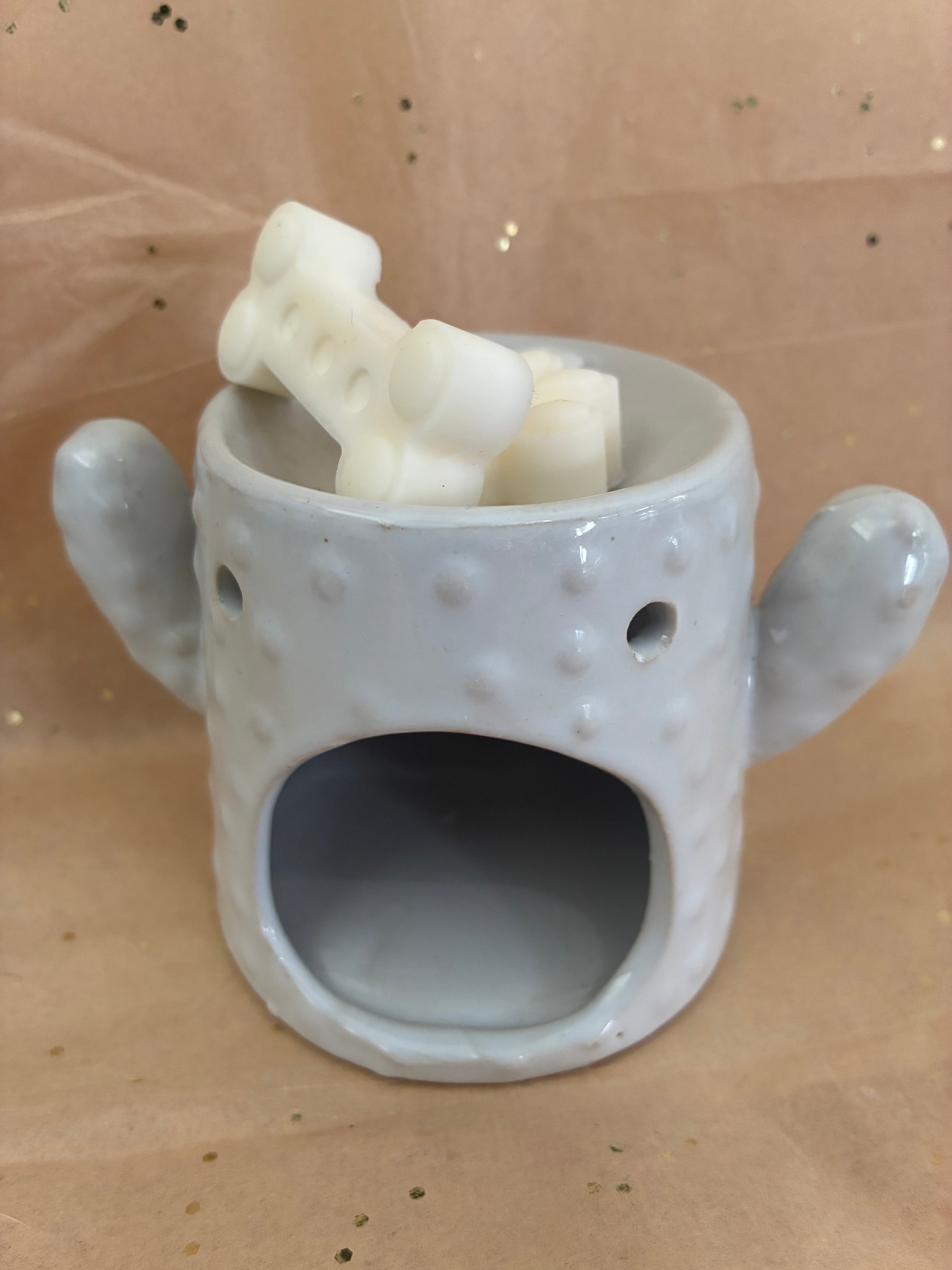 Cactus wax warmer